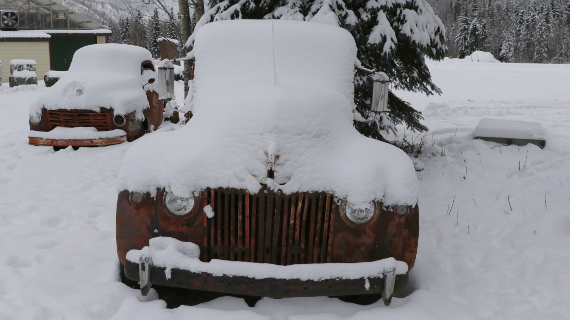 Numerous antique vehicles