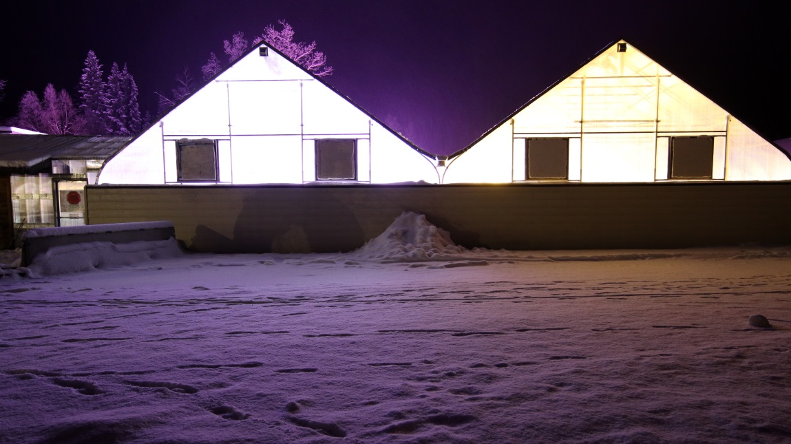 The greenhouses