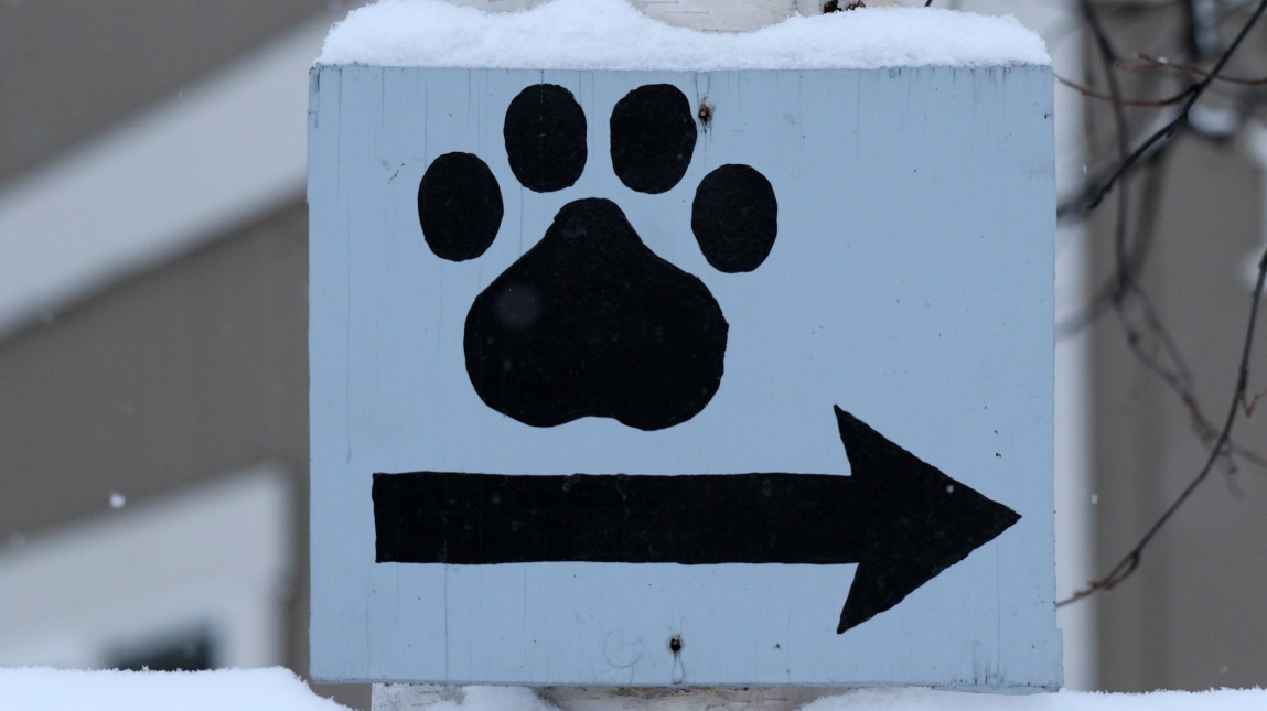 Signs like this