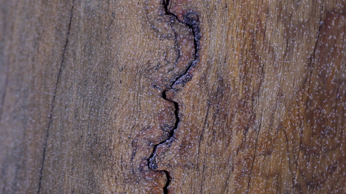 Detail in the wood