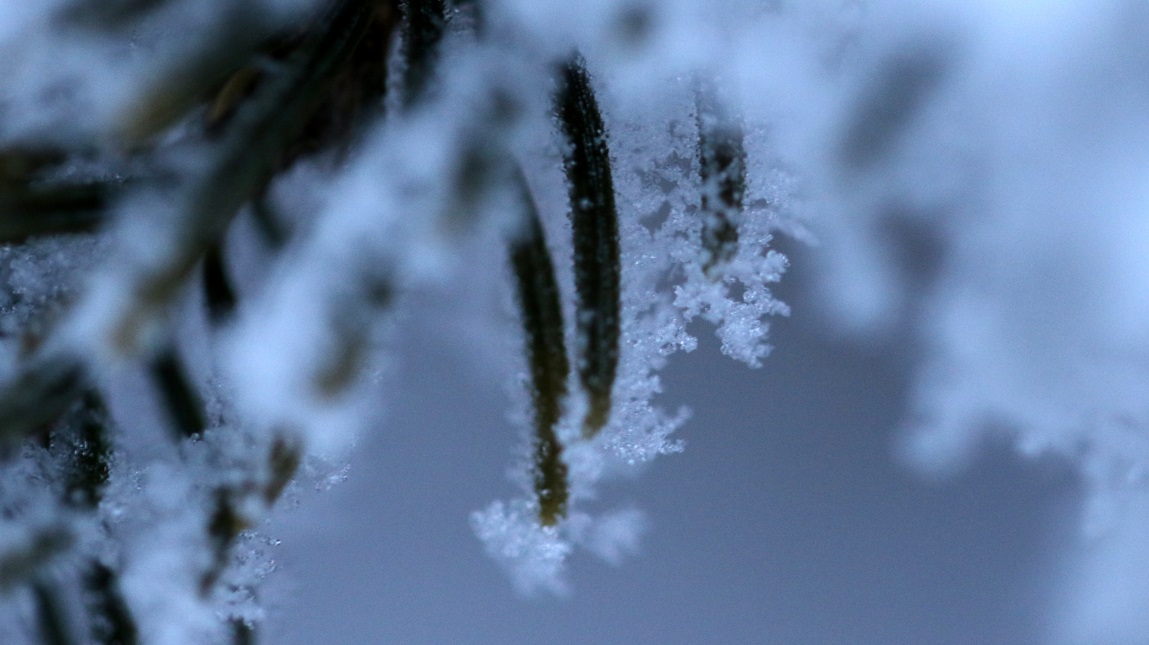 Macro