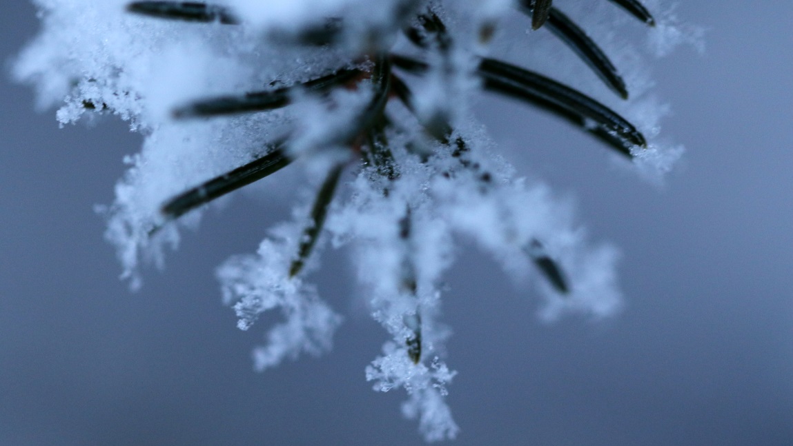 Macro