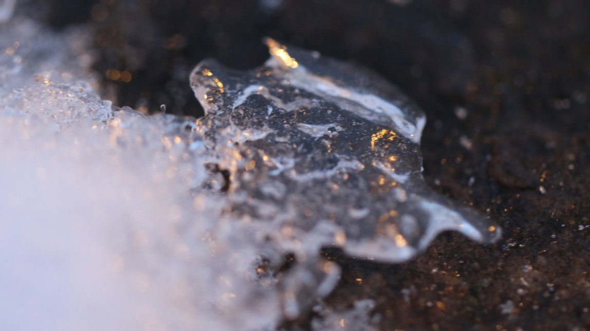 Macro