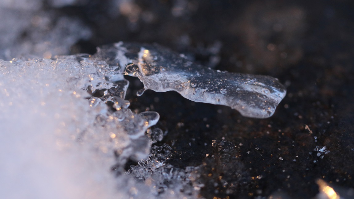 Macro