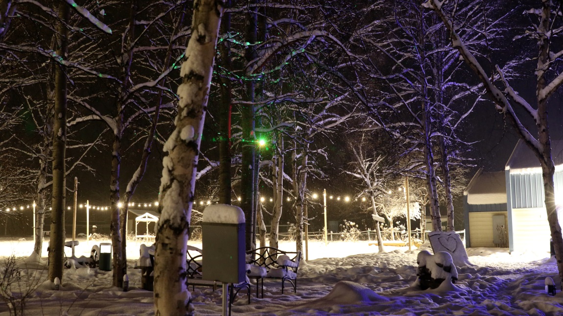 Decorative laser light mounted in a tree