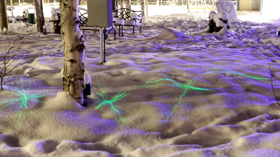 Pattern in the snow and trees