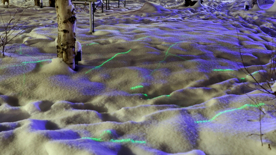 Pattern in the snow and trees