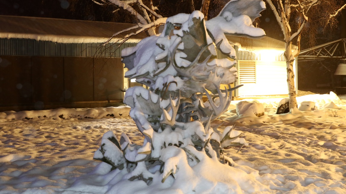 Moose antler sculpture with flash