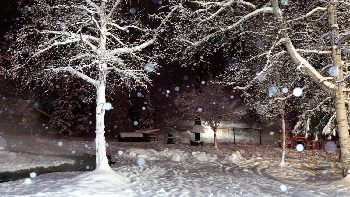 Walking down the trail