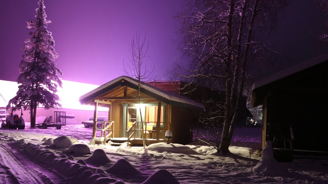 Rental cabins here too