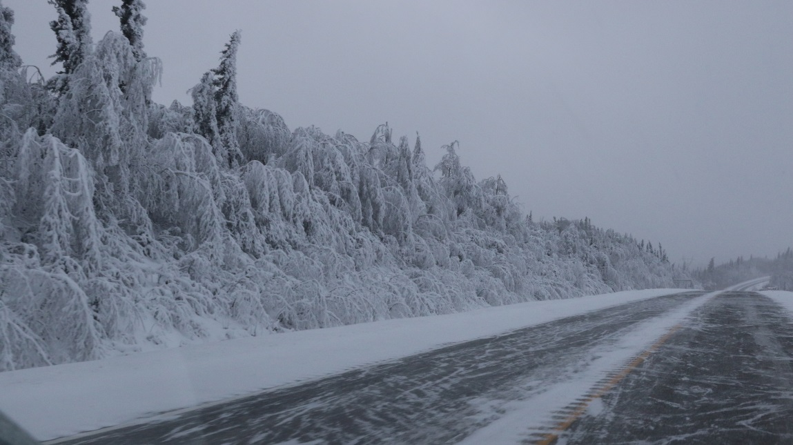 Fabulous snowy scenery