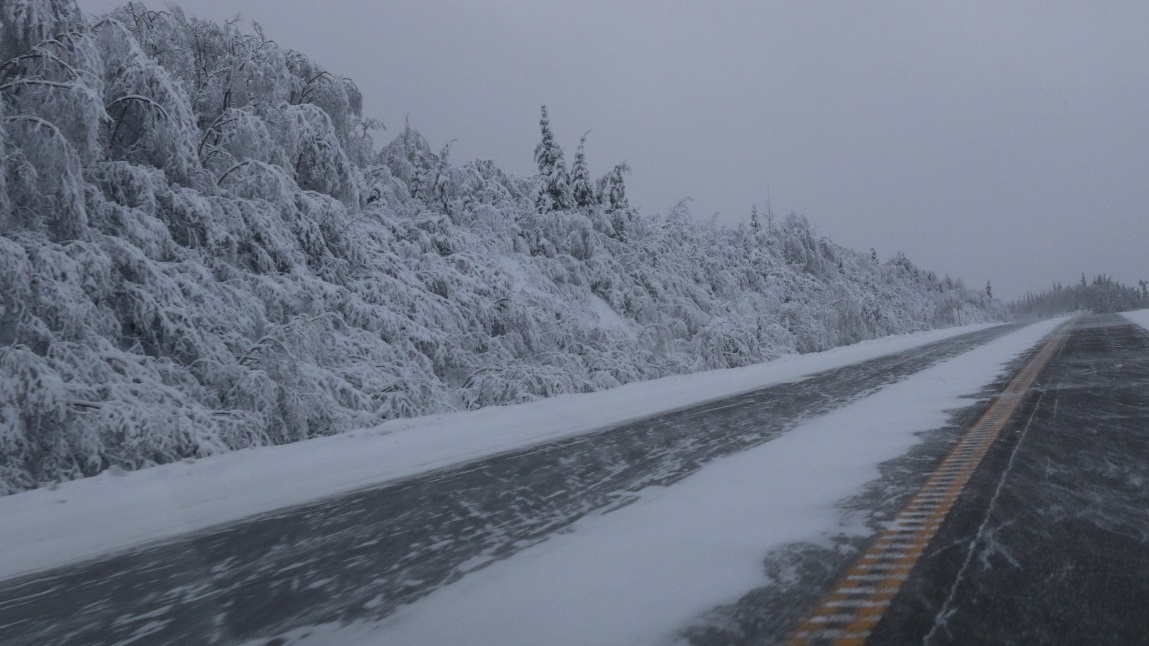 Fabulous snowy scenery