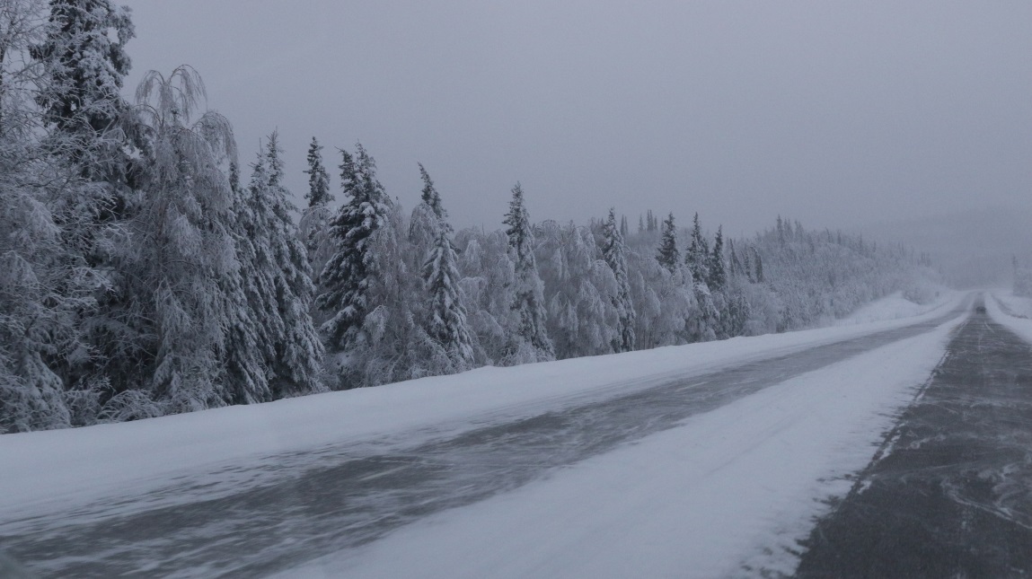 Fabulous snowy scenery