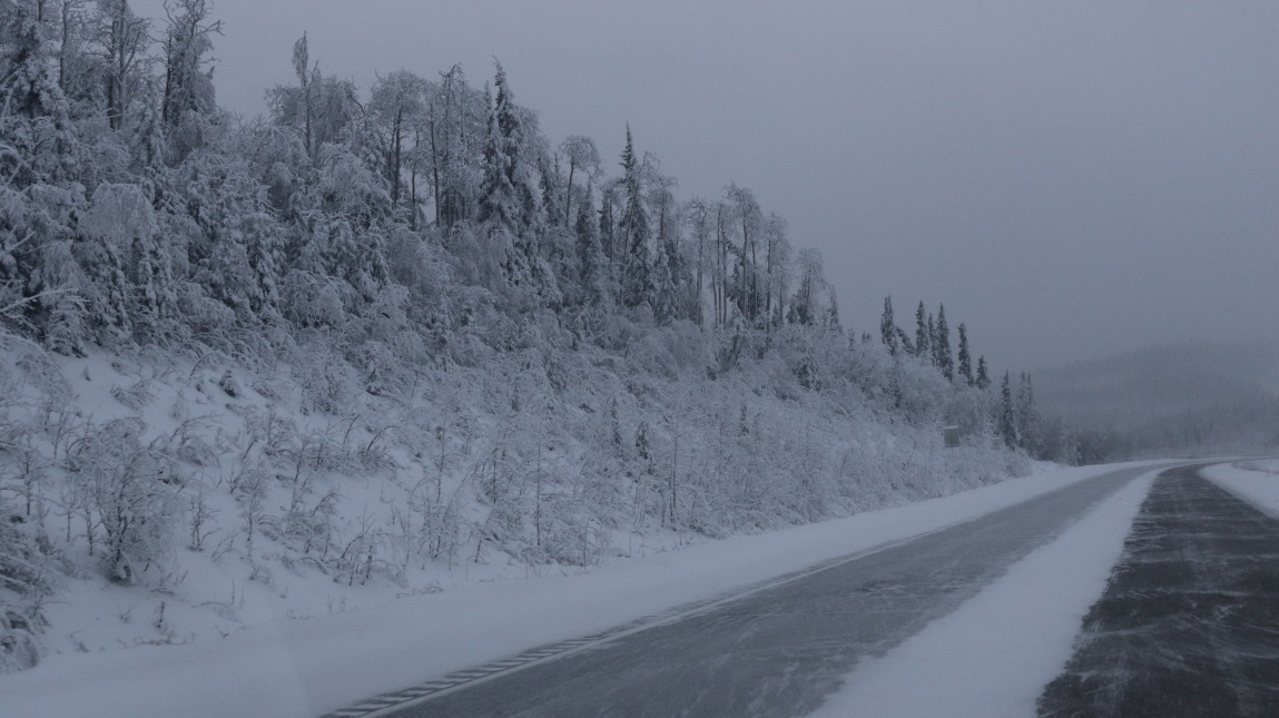 Fabulous snowy scenery