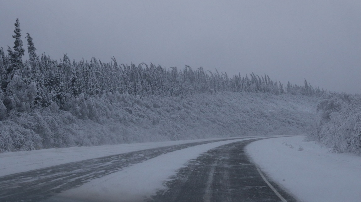 South toward Nenana