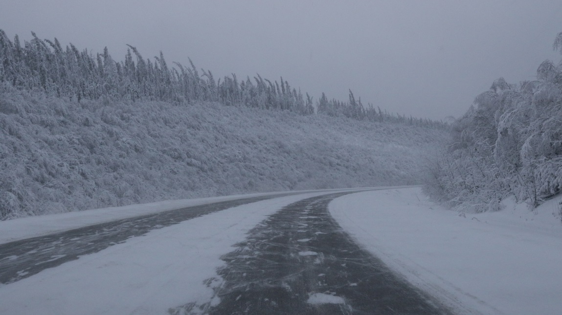 South toward Nenana