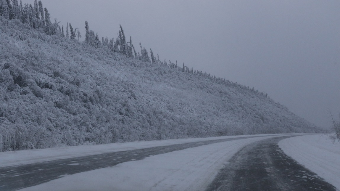 South toward Nenana