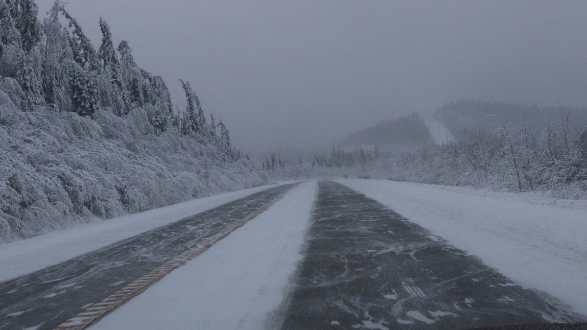 South toward Nenana