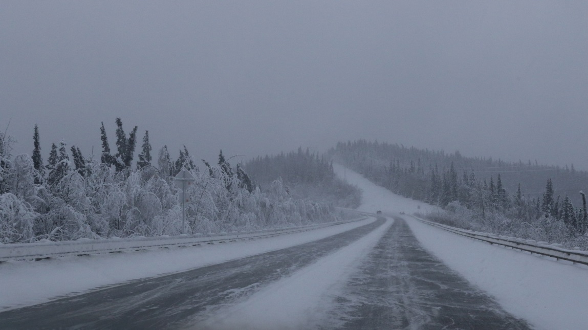 South toward Nenana