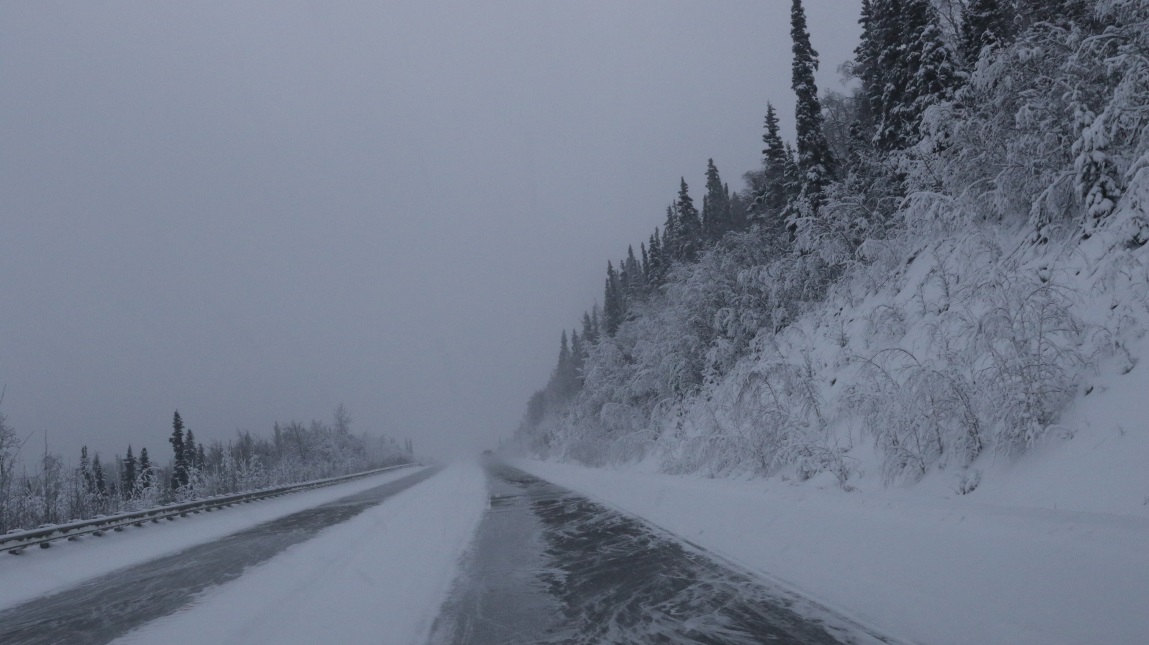 South toward Nenana