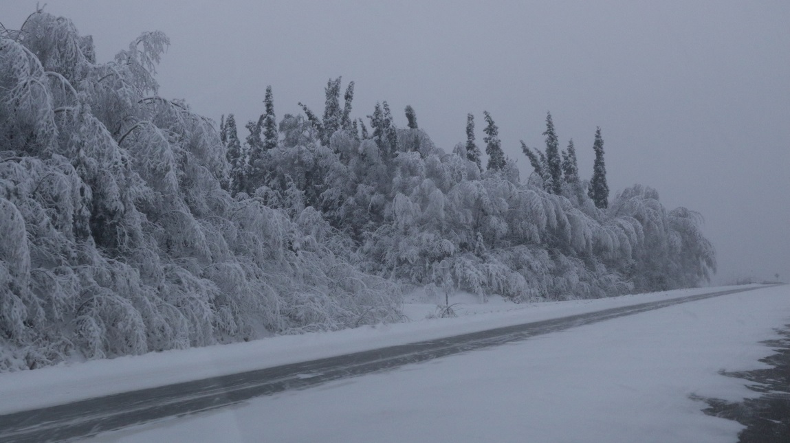 South toward Nenana