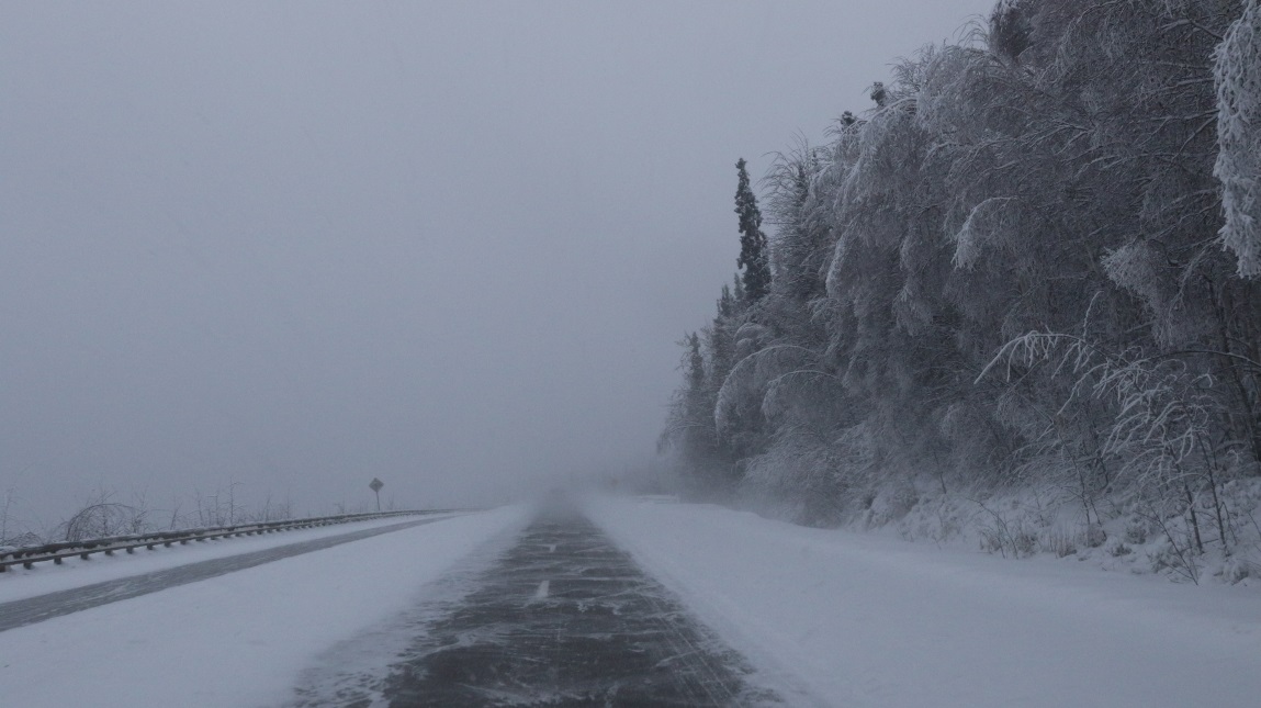 South toward Nenana