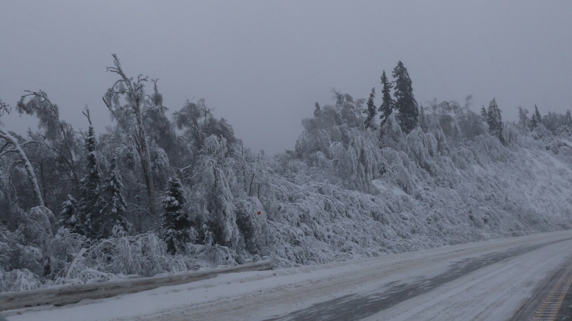 South toward Nenana