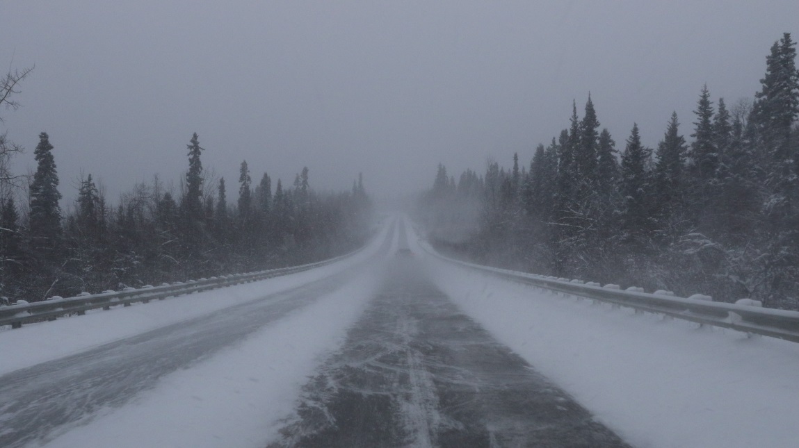 South toward Nenana