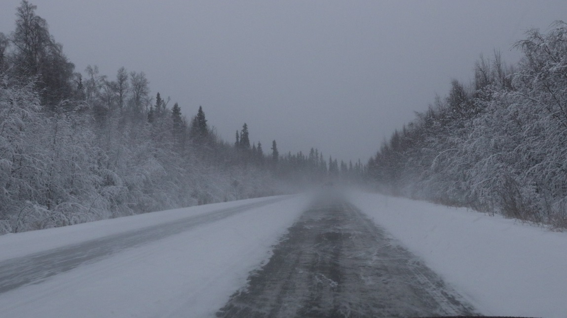 South toward Nenana