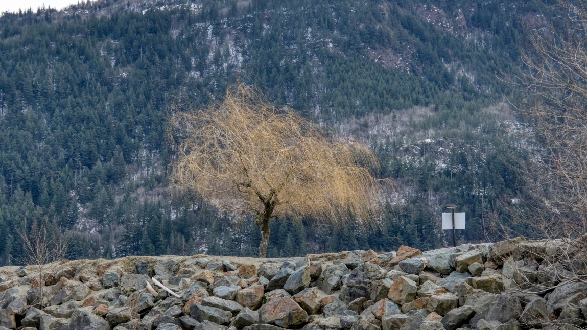 Walking in Harrison Hot Springs