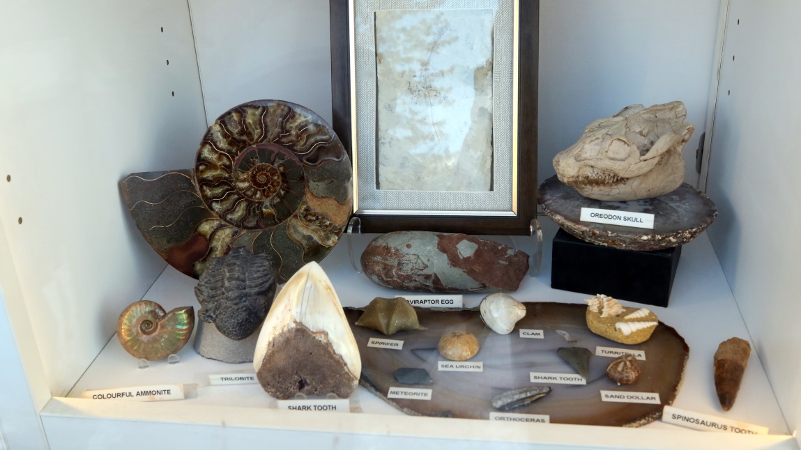 Display in a shop window on Banff Avenue
