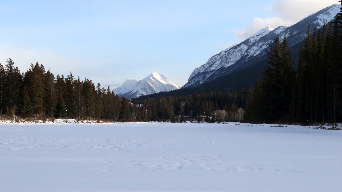 Standing in the middle of the Bow River