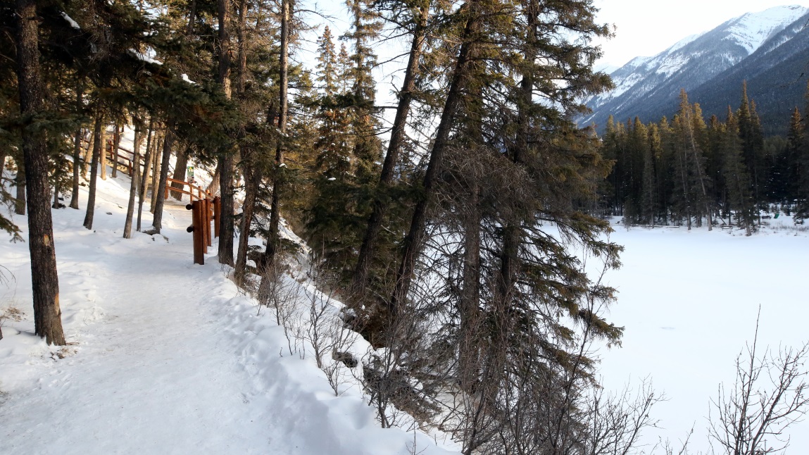 Bow River trail near Surprise Corner viewpoint