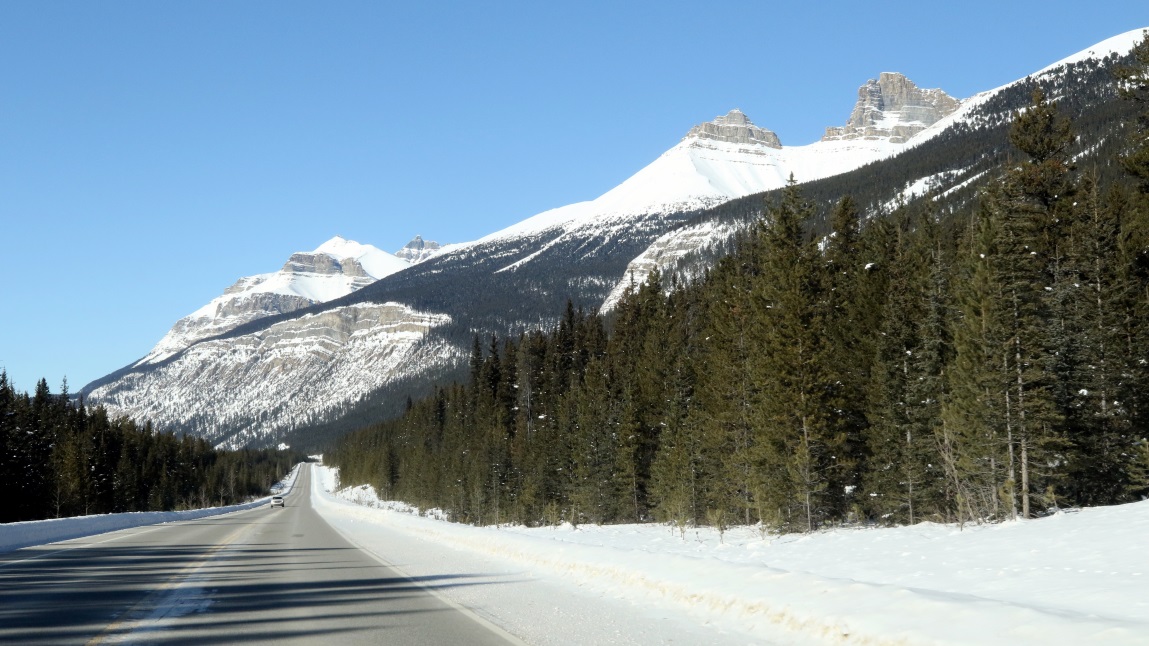 Mount Noyes area on the Icefield Parkway