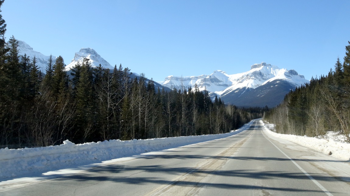 Survey Peak