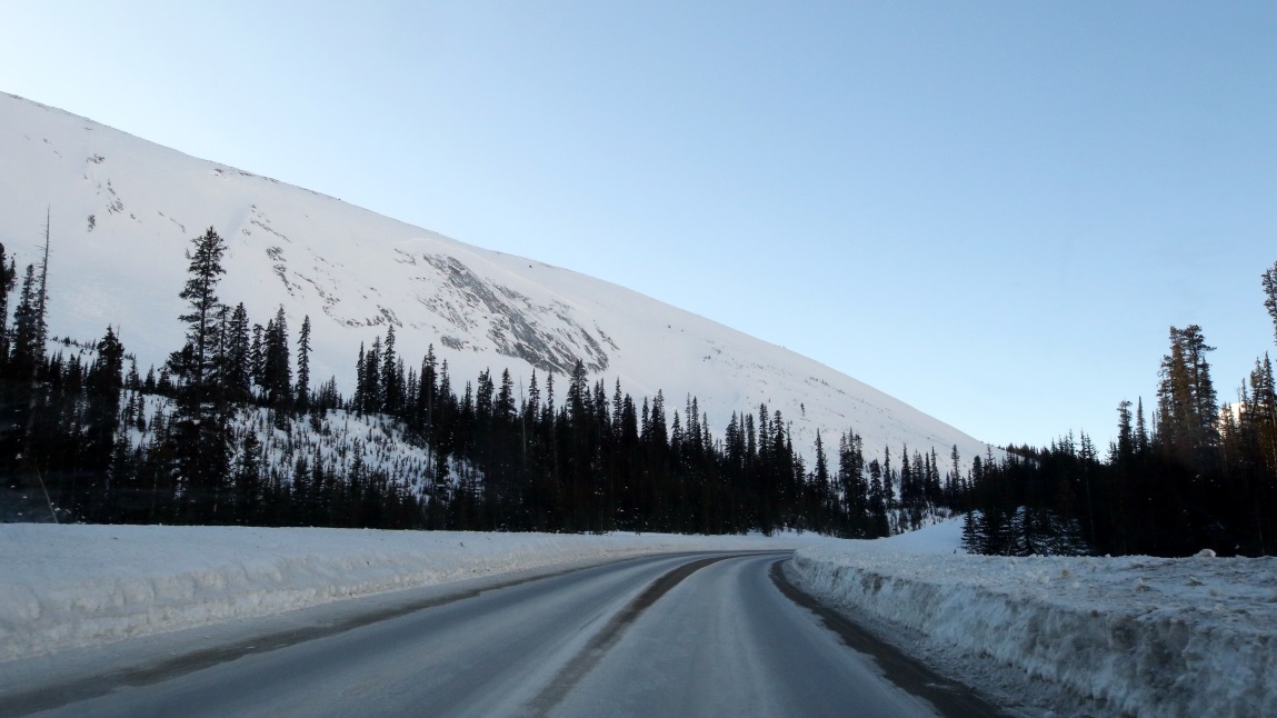 Heading North on Icefield Parkway near Parker Ridge