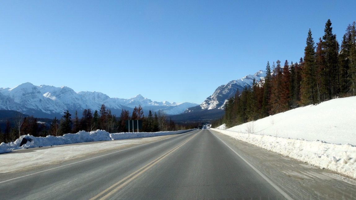 Heading North on Icefields Parkway