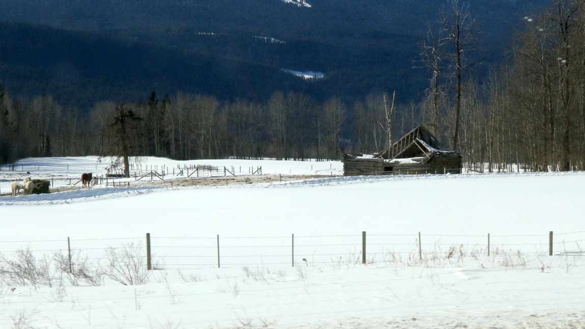 Farm