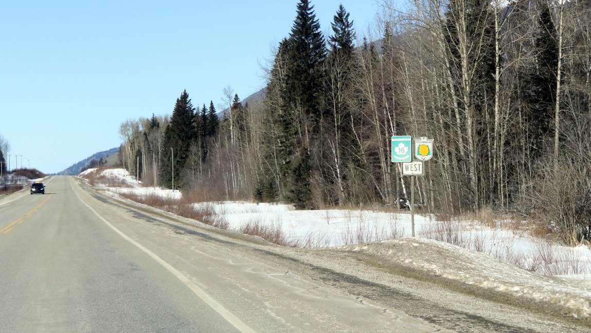 Yellowhead illustration