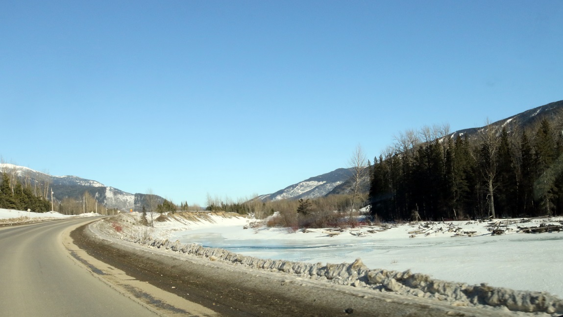 Pine river near the highway