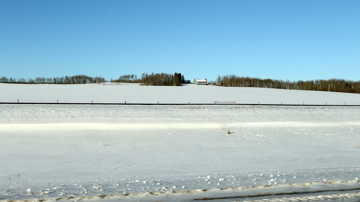 Huge farm near Groundbirch