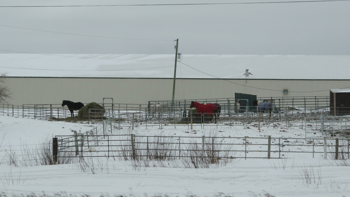 Horse farm by Charlie Lake