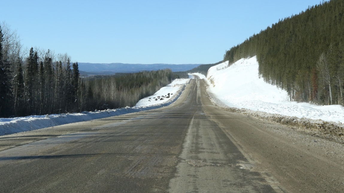Buffalo fourteen miles Northwest of Fireside