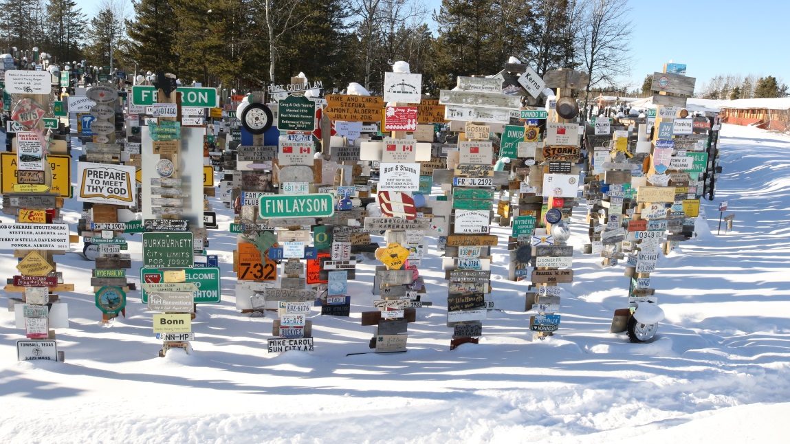 Sign Post Forest