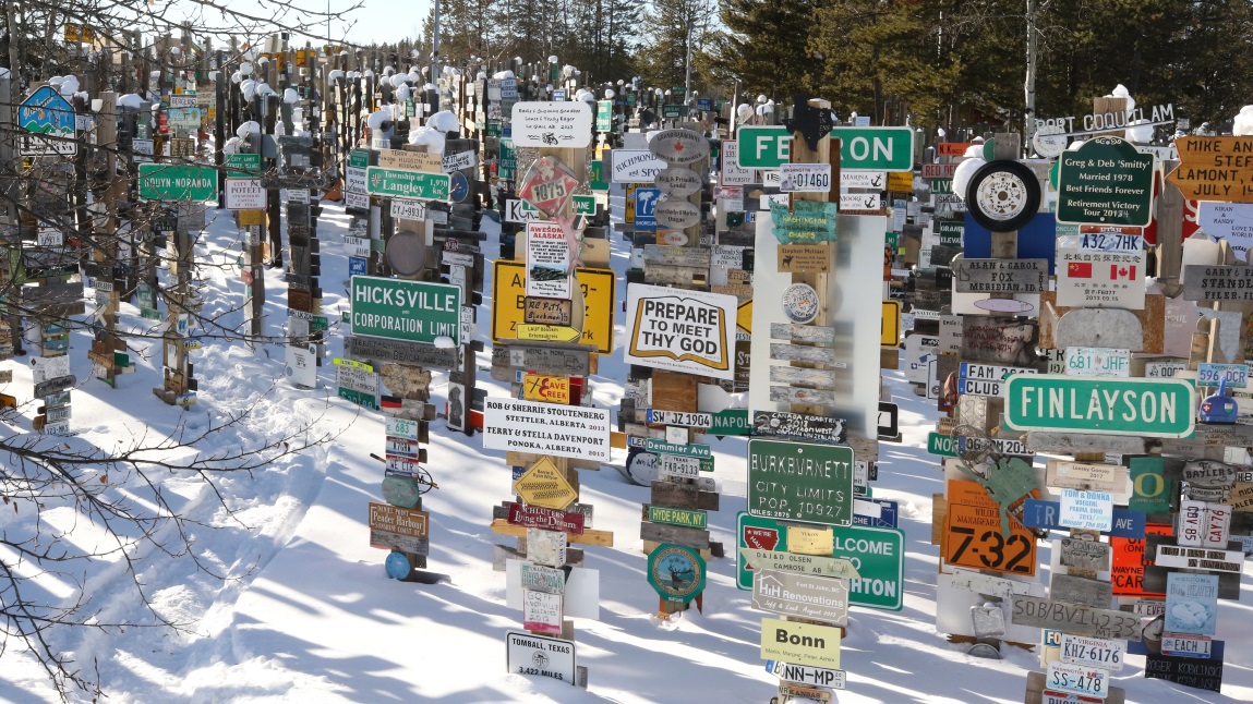 Sign Post Forest