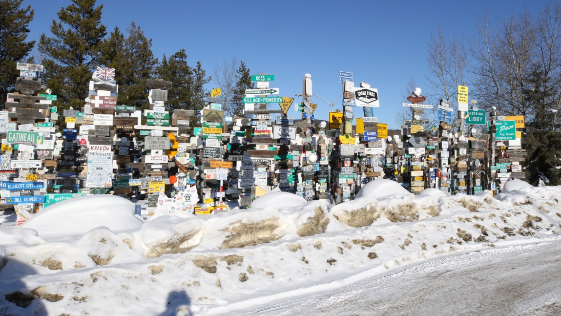 Sign Post Forest