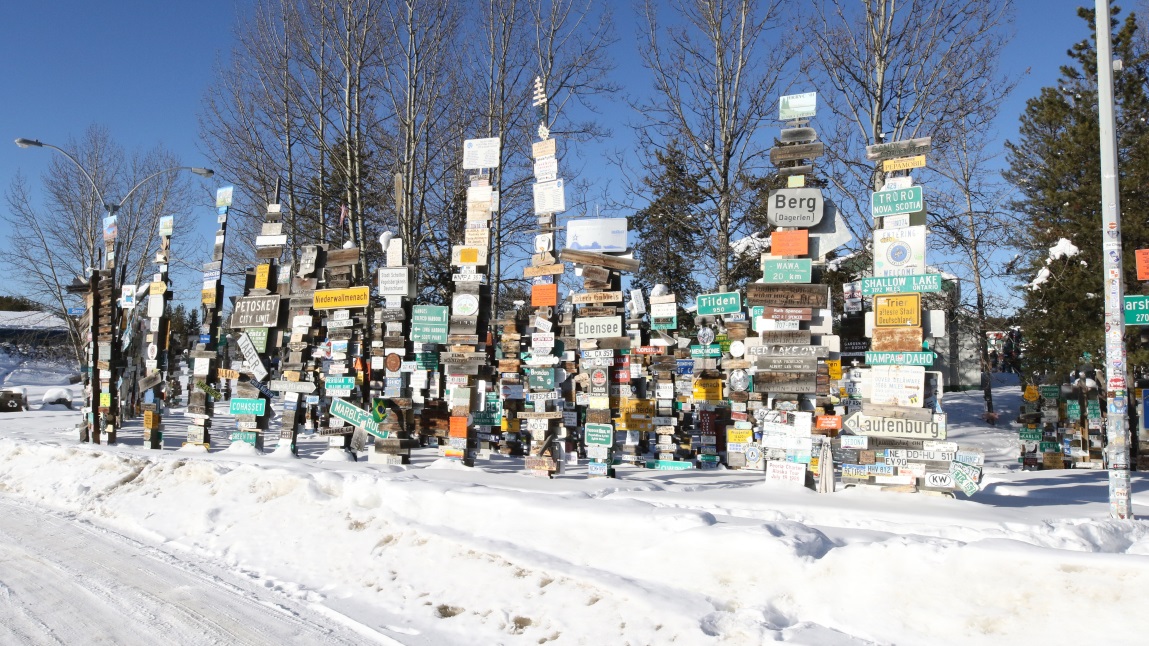 Sign Post Forest