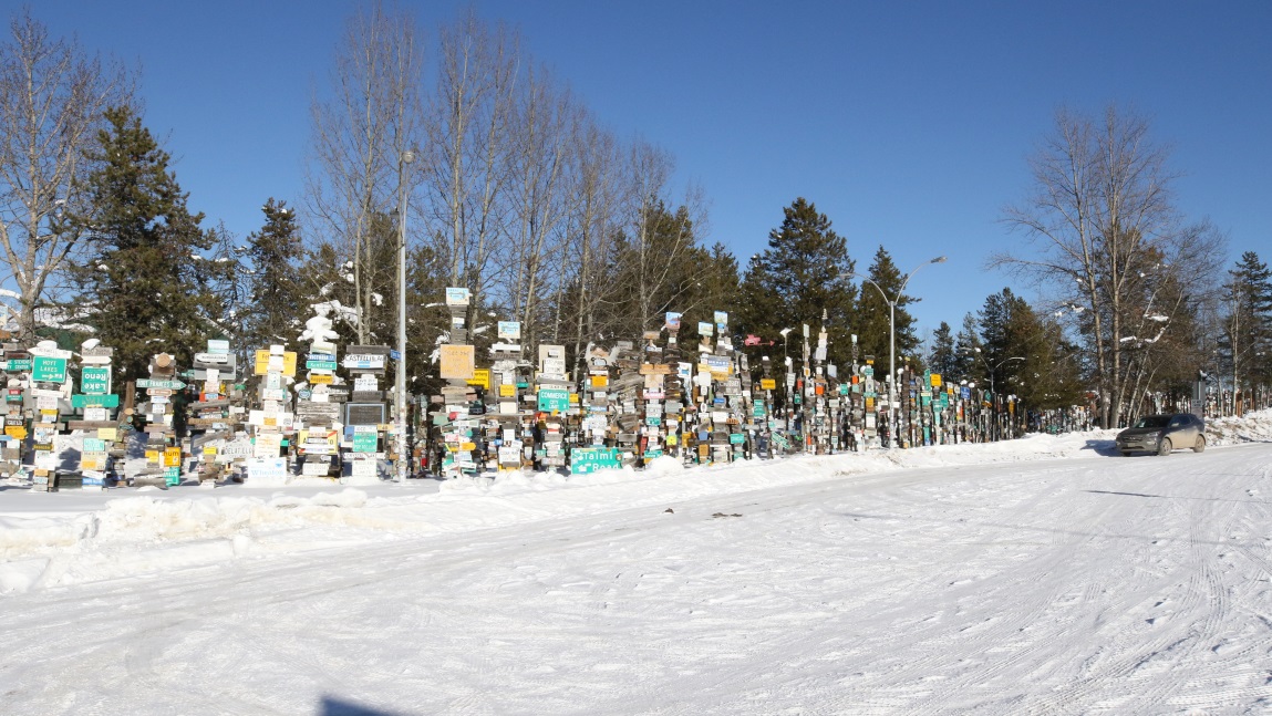 Sign Post Forest
