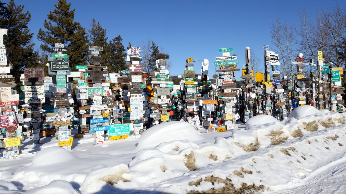 Sign Post Forest