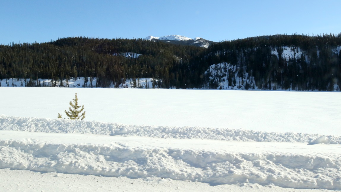 Simmons Lake